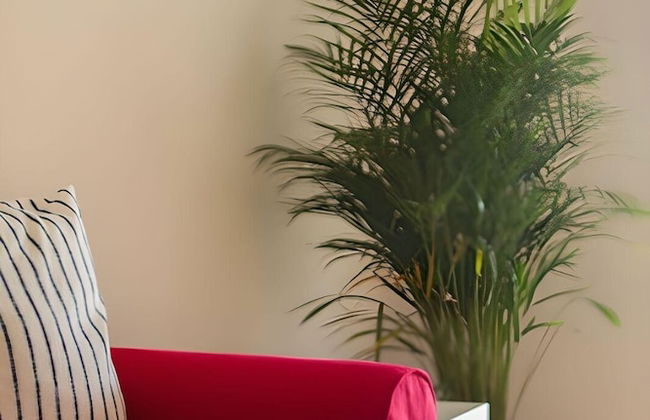 Apartments and Rooms Bonkan Hvar - Foto 17