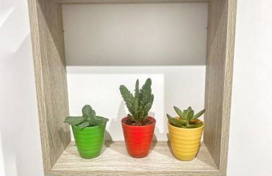 Puerta de Caceres Apartamento 5 Callejón De Don Álvaro - Foto 10