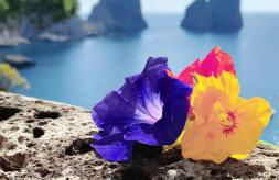 Villetta Rosetta - Foto 34