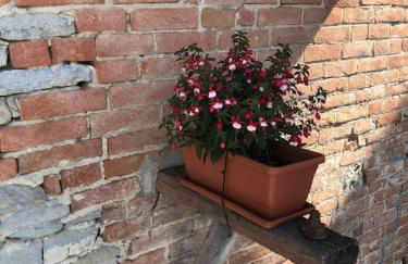 Il Sogno di Elisa Country House - Foto 63