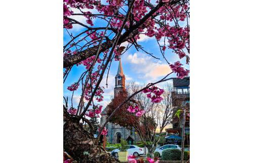 Morada na Serra - Stay House Temporada - Foto 24