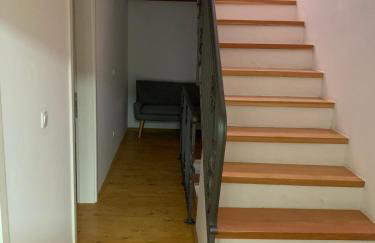 Luca - Photo 28