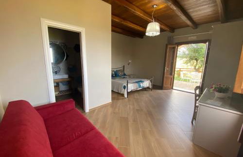 Tenuta Belvedere Cilento - Foto 13