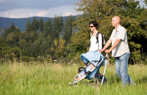 Ferienwohnungen Golla-lang - Foto 13