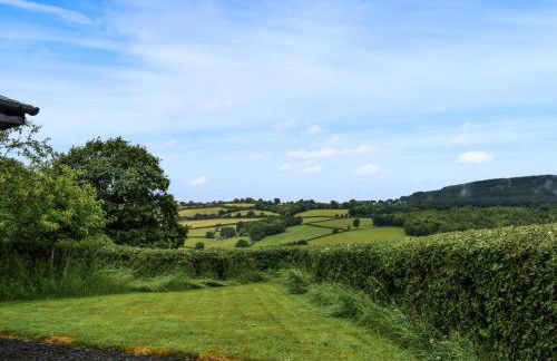 Bryn Cosyn - Foto 13