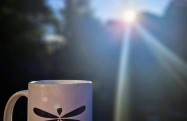 Cabana Marabella - Foto 20