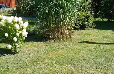 Zimmer und Apartment Rosi - Foto 43