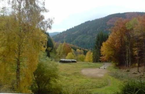 Apartment Haus Wiesental by Interhome - Foto 32