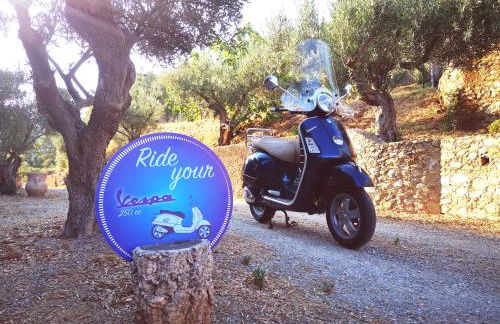 Due Esperienza Panoramica - Photo 53