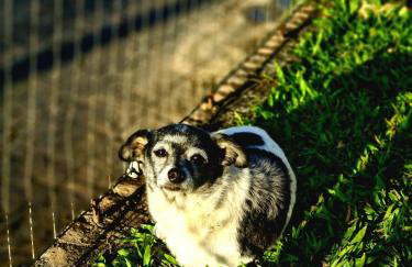 Pousada Bella Vista - no coração do Vale dos Vinhedos - Foto 59