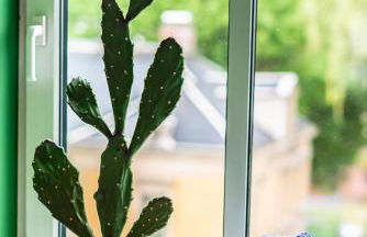 Pop Art Apartment - Balkon, Netflix, Nespresso, Zentral, Messe - Foto 14