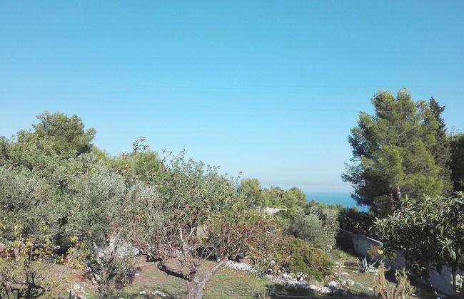 Villa Giulia - Photo 26