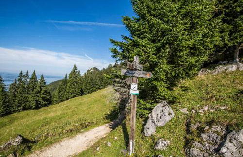 Wanderlust Chiemgau - Foto 35