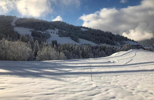 Chalet La Pioleute Megève - Foto 19