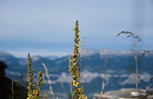 Studio Gaelle - Foto 19