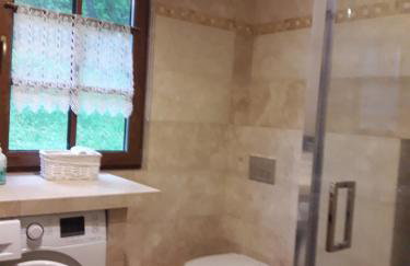 Bieszczady Chata - Foto 110