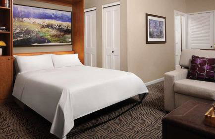 Marriott's StreamSide - Birch Studio Apartment with Resort Access - Foto 8