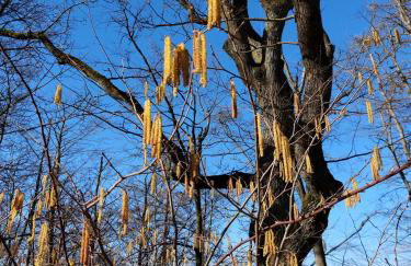 Wohnung-Aublick - Foto 19