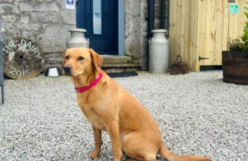 1 Bed in Carnforth oc-90528 - Photo 18