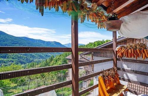 Agritur La Gemma - Foto 58