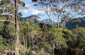 Casa Beija-flor no Vale do Capão - Foto 19