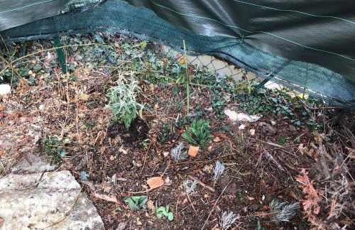 Numéro 190 rue des moulins Nid douillet au cœur de la haute Provence vachéres - Foto 28