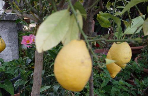 Paradiso in riva al mare - Foto 52