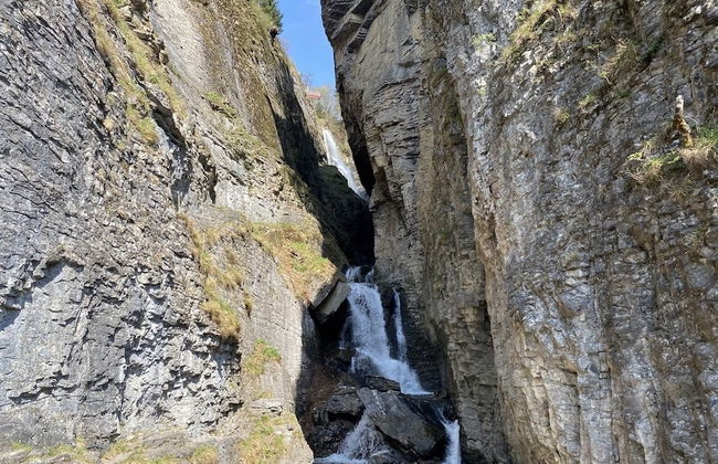 Spring Inn Apartments - Foto 54