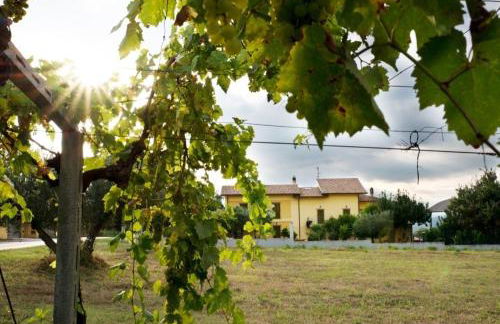 Agriturismo Il Casolare Di Nonno Mario - Foto 54