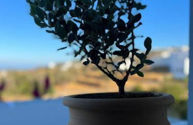 Nissos Suites - Foto 35