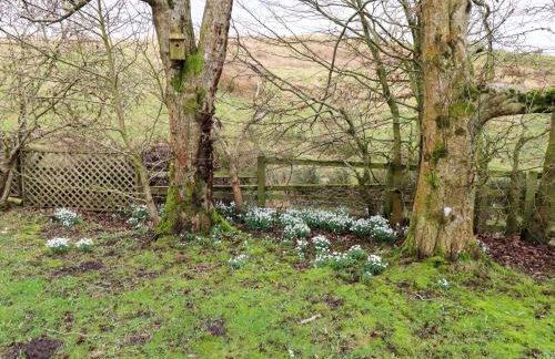 Petty Knowes Cottage - Foto 33