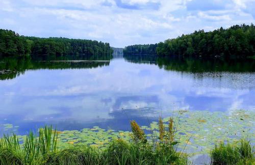 Large holiday home with garden, close to the lake - Foto 26