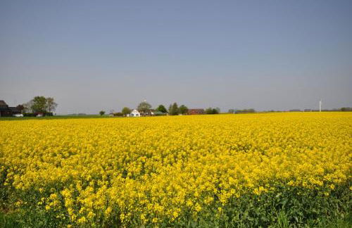 Nr 150 - Ferienhaus An't Deep - Foto 6