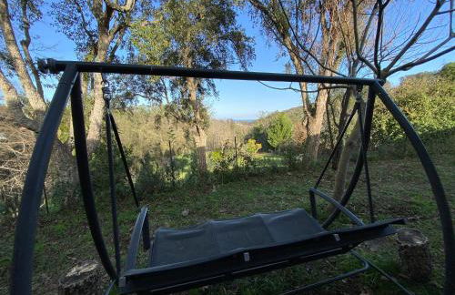 Maison au calme piscine mer au coeur de la nature U Nuciolu - Foto 18