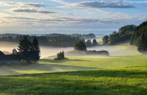 Ferienwohnung Hintermoos - Foto 60