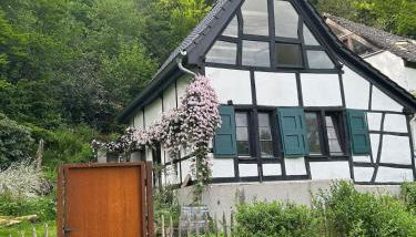 Historische Breidenmühle - Foto 2