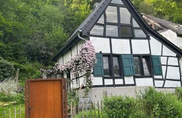 Historische Breidenmühle - Foto 2