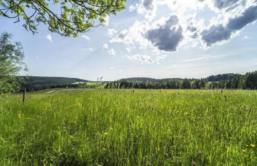 Waldfrieder Ferienwohnungen - Foto 6
