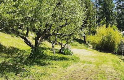 Redwood Castle 2 bed retreat - Foto 13