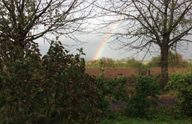 Dreams Valley - Foto 52