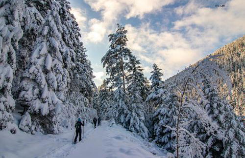 Le Grand Petit Prince - Domaine de Charme - Jacuzzis privatifs - Foto 8