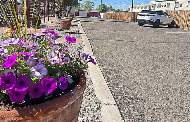 1 or 3 Bedroom Apartment with Full Kitchen - Foto 29