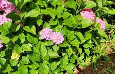 Concept Appart'Hôtel Lannion - Côte de Granit Rose - Photo 14