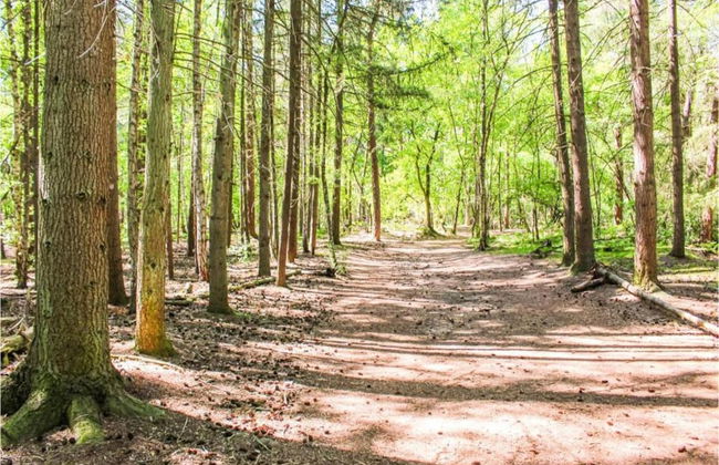 Lodge in Duinhoeve Near Dunes & Playground - Photo 31