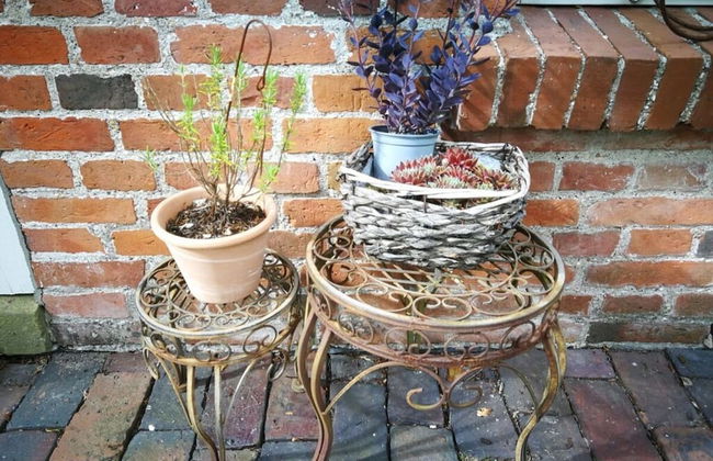 Holiday Apartment Nordnest - Foto 35