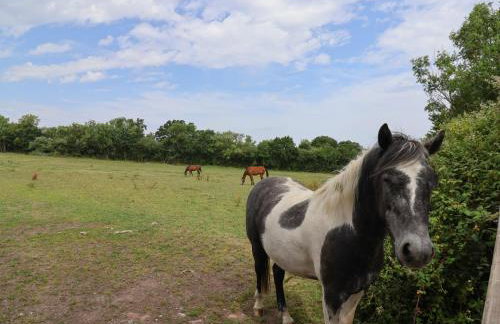 Garden View - Foto 37