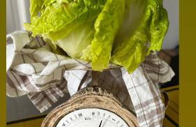 Les écolodges Sous Le Phare - Foto 115