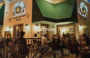 Lux Oasis in West Hollywood, Free Parking & Swimming pool - Foto 62