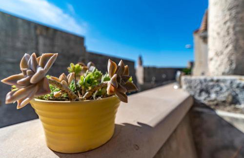 Villa Ragusa Vecchia - Photo 59
