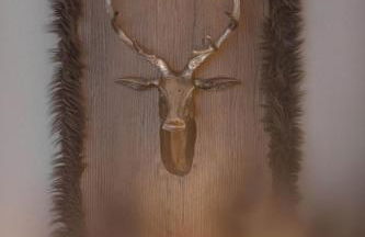 Acapella Suite Barcarolle 60qm, direkt am Weinberg, Altstadt, Netflix inklusive - Foto 4